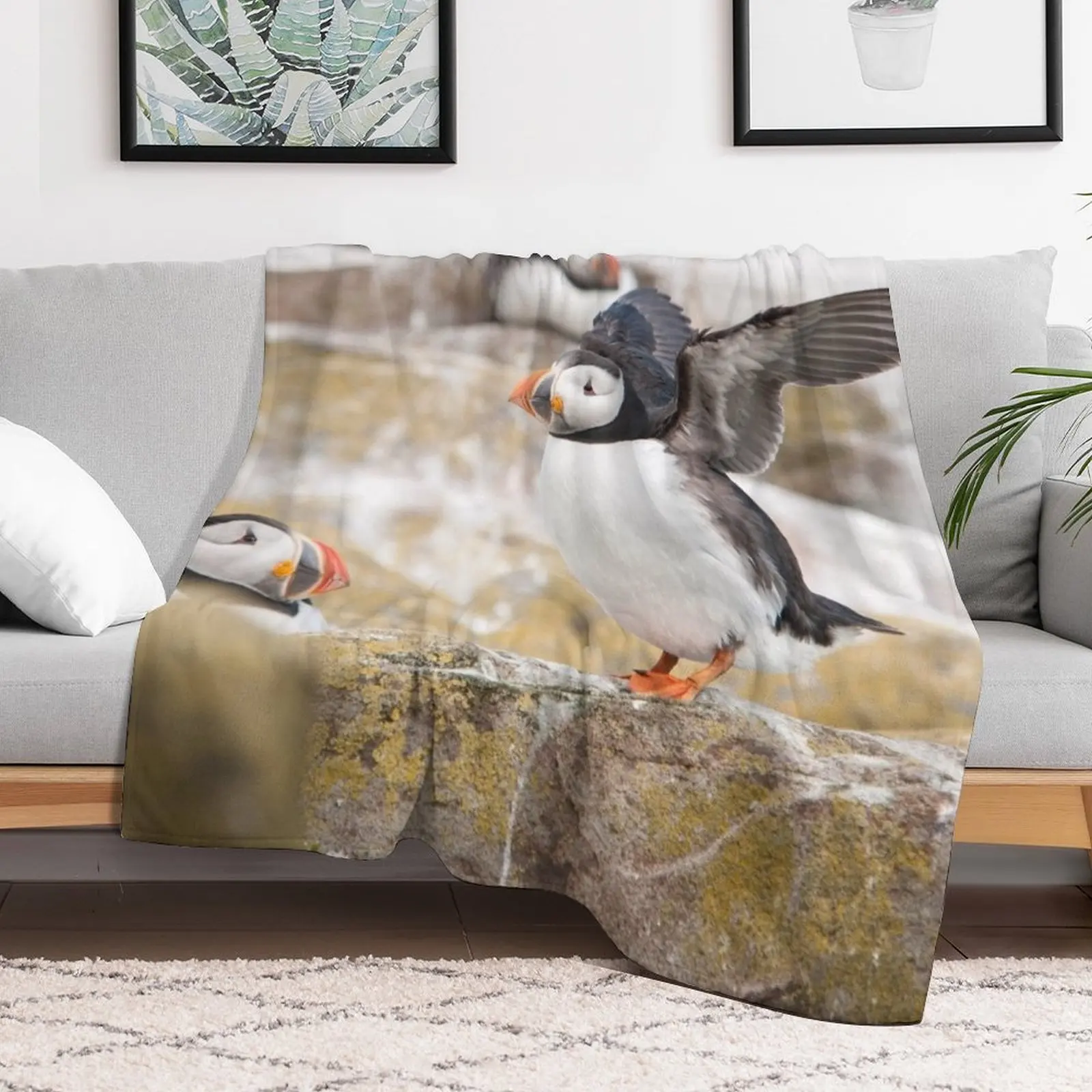 New Atlantic Puffin Photography Throw Blanket Sofa Quilt Blankets For Sofas Decorative Sofa Personalized Gift Blankets