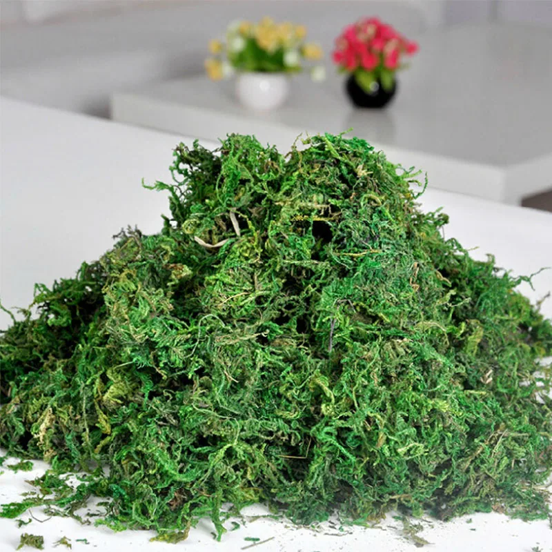 100g Artificial Moss Simulation Plants Immortal Moss Micro Landscape Bonsai Decoration Indoor Garden Decoration Green Moss