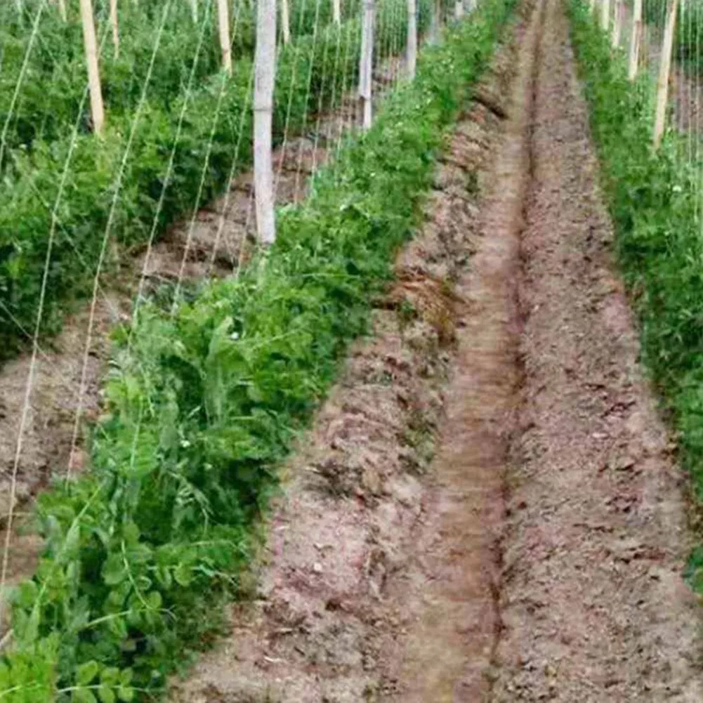 Rede de suporte de rede de malha planta poliiteno peças de reposição treliça 2mx100m rede de escalada de feijão
