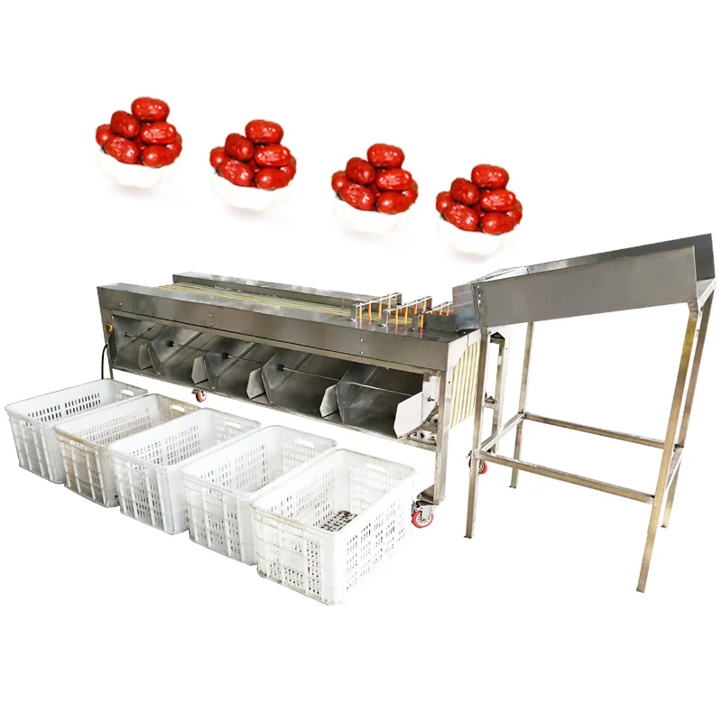 Hot Selling Fruit Grader Lemon Peach Plums Olive Size Grader Equipment Price Crayfish Oyster Grading Machine