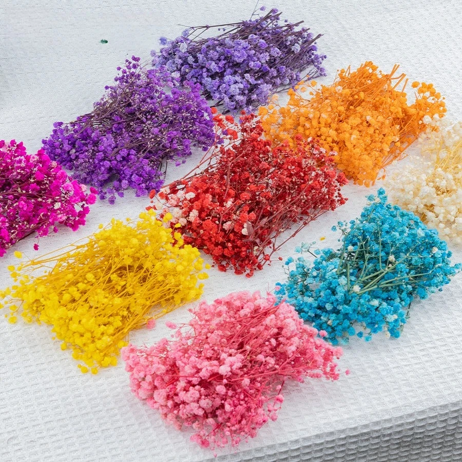 50 قطعة زهور تنفس الطفل المجففة الصغيرة ل الراتنج الحرفية Diy بها بنفسك ديكور المنزل الزفاف اللمس الحقيقي جيبسوفيلا حزمة صغيرة تجميل هدية