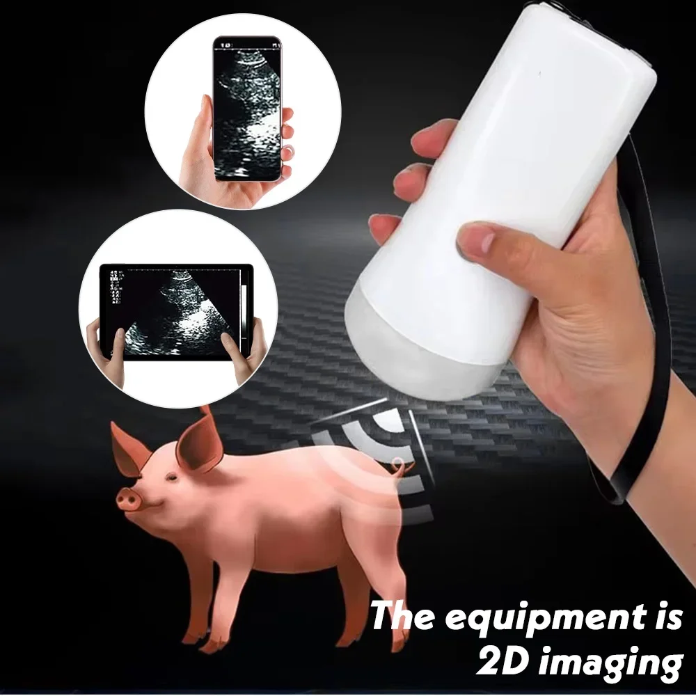 80 Element Veterinary Wireless Ultrasound Scanner Portable Handheld Pregnancy Test Ultrasound Machine for Pig Sheep