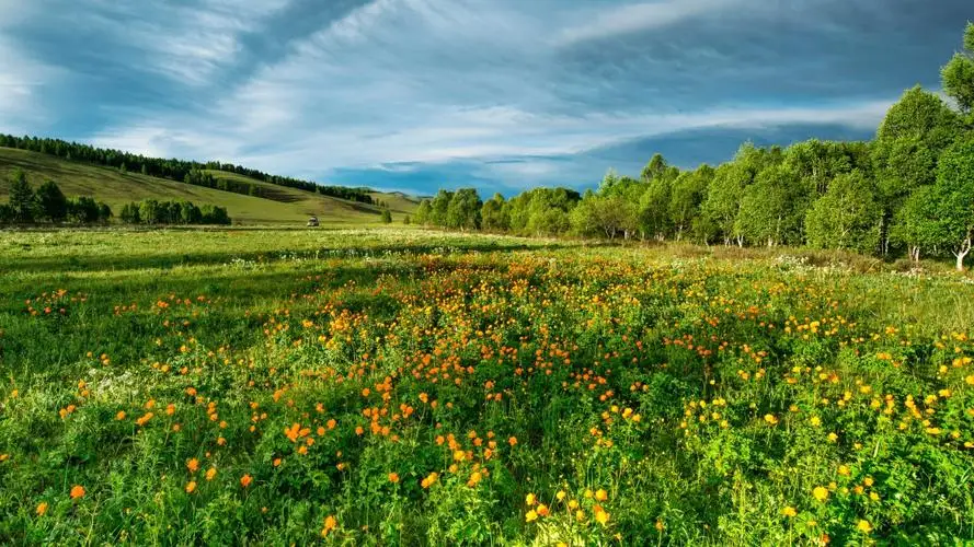 

4Pcs 58Mm Tires 12Mm Hex Wheels With Sponge For 1/10 1/12 RC Drift Car 3Racing Sakura M4 M5 MST TCR Tamiya M04 M05