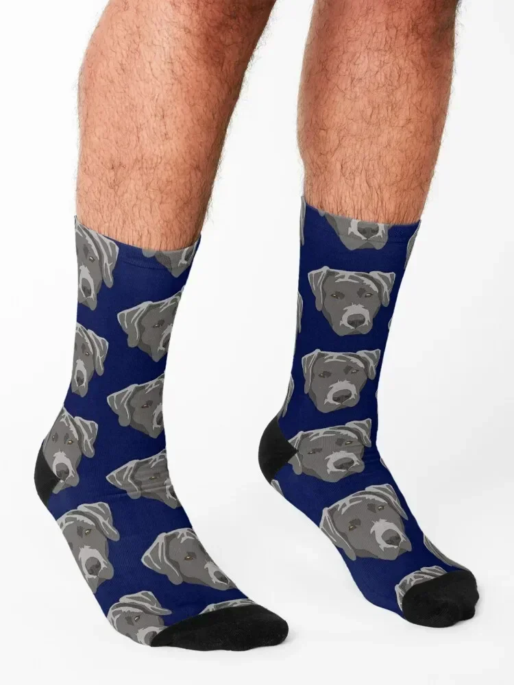 Silver lab face Socks gift funny gifts football sport Boy Child Socks Women's