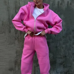 YJKDYK Spring Autumn Women's Tracksuit Female Solid Color Zipper Sweat Jacket + Elastic Waist Pants Women's Clothing Sales