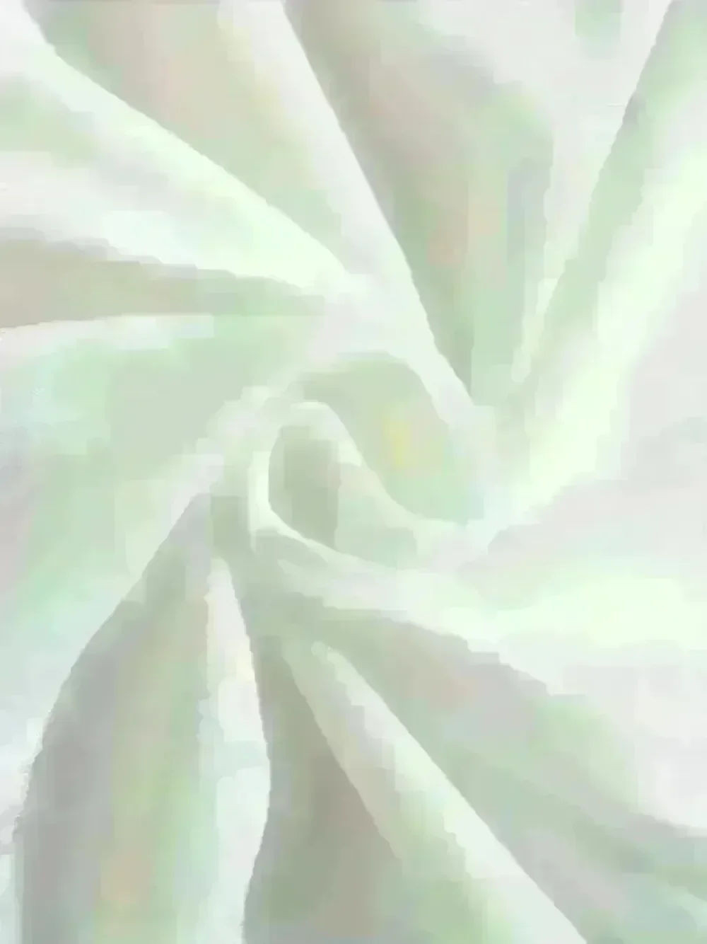 قميص ديزني جرافيتي فولز صور كتاب قميص جرافيتي فولز لعيد الميلاد بالون قميص مابل ديبر ويندي سوس جرنكل #5