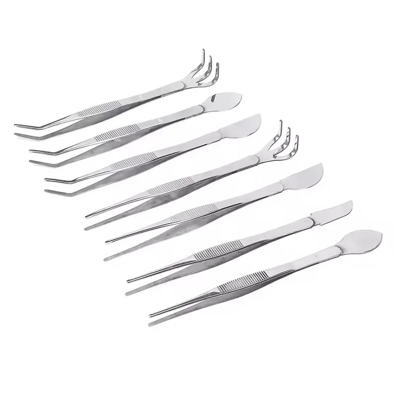 مشط جذور من الفولاذ المقاوم للصدأ 2 في 1 304 مع ملاقط بونساي مع مقبض مريح أداة زراعة التربة لصناعة العصارة