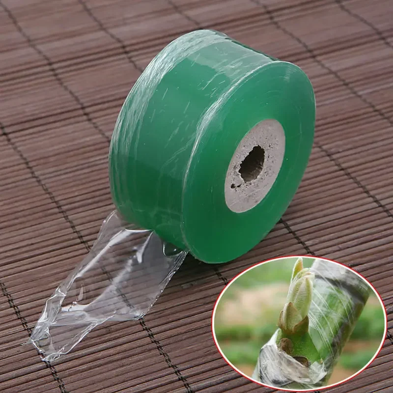 Fita autoadesiva Stretchable para berçário, fita adesiva, árvore frutíferas, filme, ferramentas de jardim, 3cm