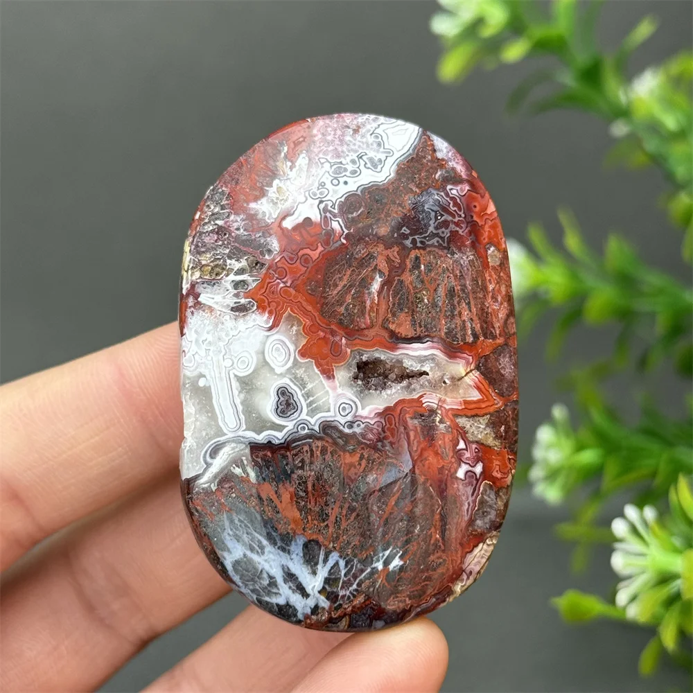 Natural Mexican Agate Palm Quartz Mineral Specimen Spiritual Meditation Healing Massage Energy Witchcraft Home Decoration Gift