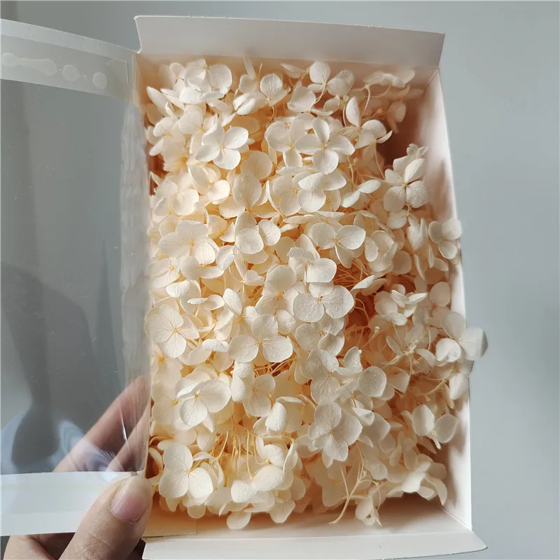 Thumbnail 3 - #37 Trending Dried Flowers Right Now