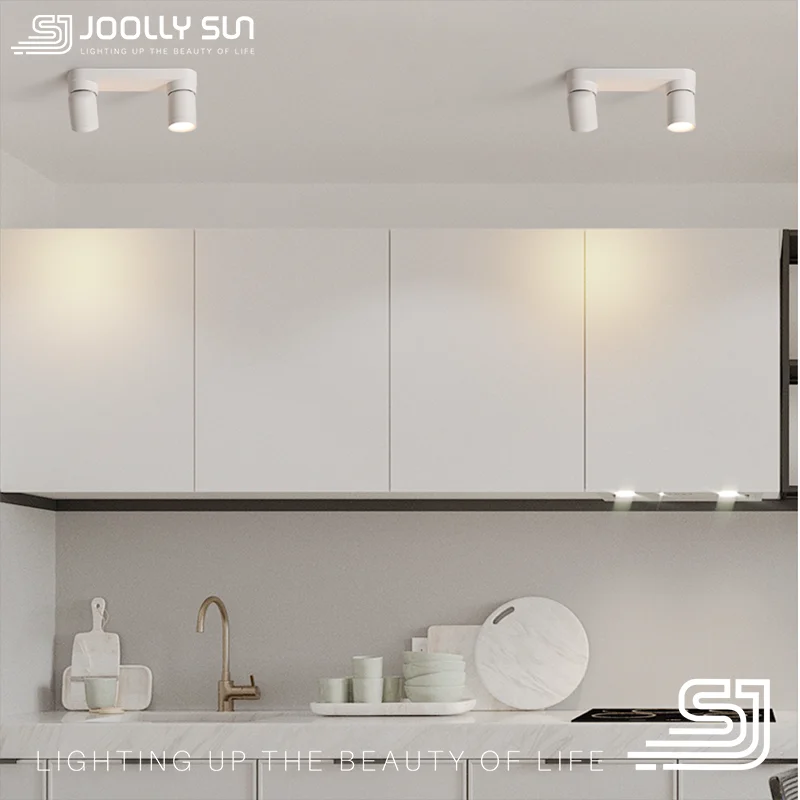 Reflektory LED JoollySun obracający się Downlight montowane na powierzchni światło punktowe do nowoczesnego sklepu z sypialnią 2 głowice lampa