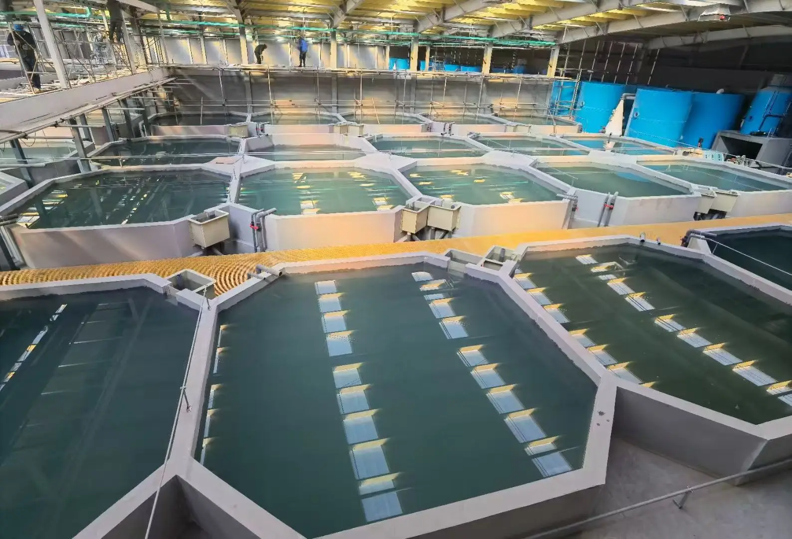 دليل كهربائي بتيار متردد 220 فولت لسياج الأسماك في السياج الحيوي #2