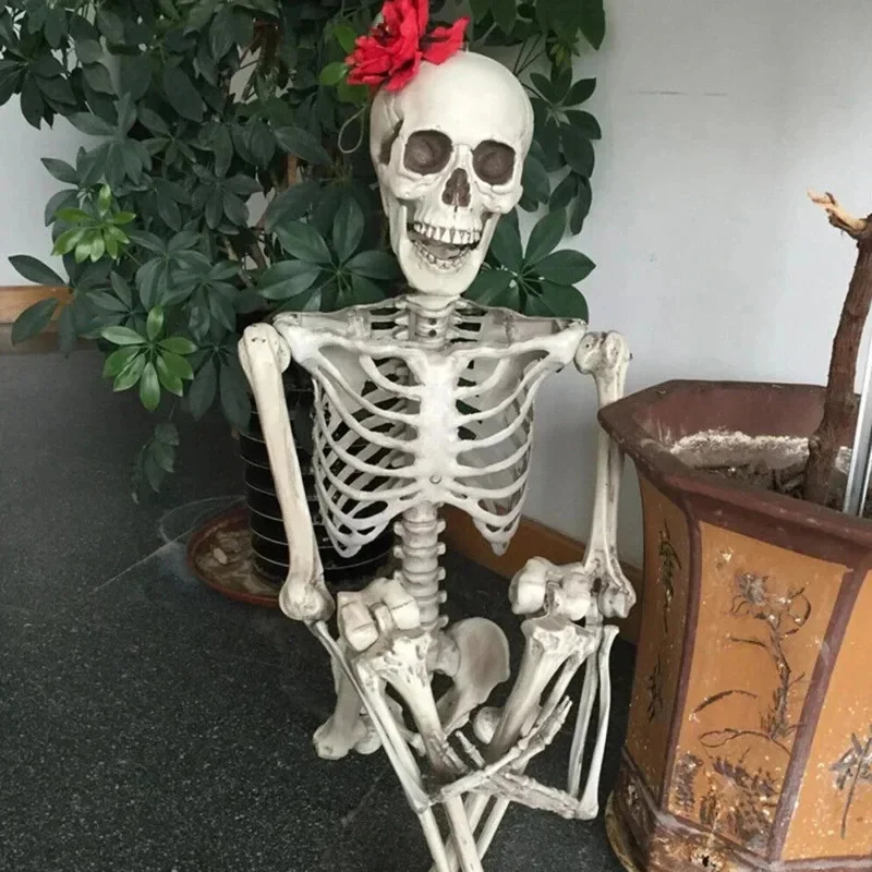 

Full Life Size Human Skeleton Halloween Prop Movable Skeleton Ornament Toys Skeleton Movable Posable Joints Decoration