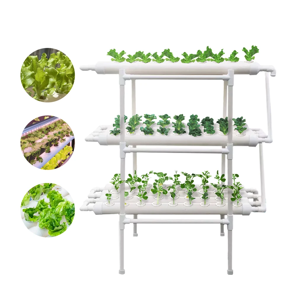 Small Indoor NFT Hydroponic System With 108pcs Holes Greenhouses Structure With Hydroponic System