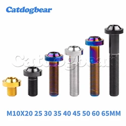 Catdogbear 4PCS Titanium Bolts M10x20 25 30 35 40 45 50 60 65mm Pitch 1.25/1.5mm T45 Torx Head Screws For Motorcycle Parts