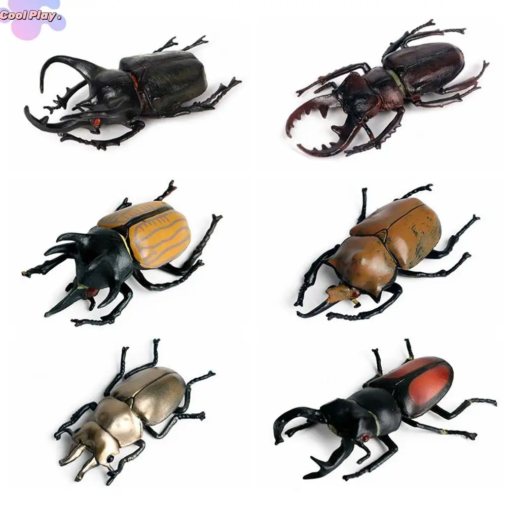 

Realistic Insect Animals Model Wild Insect Science Beetle Action Figures Education Dynastes Lifelike Insect Figurines Collection