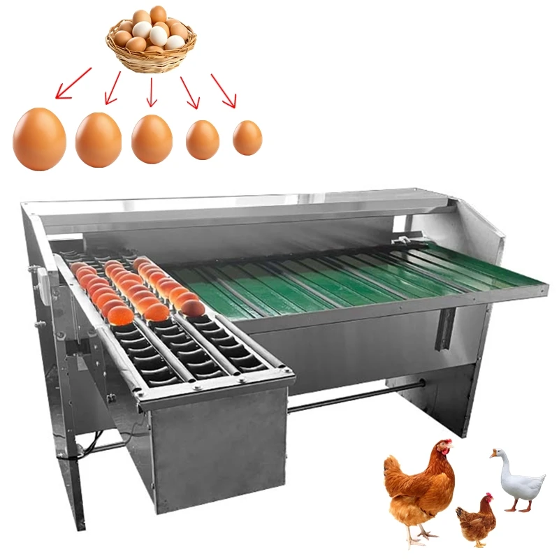 ماكينة تصنيف البيض بقدرة 2000-30000 ساعة، ماكينة فرز وزن الدواجن الصناعية، معدات تربية الدواجن