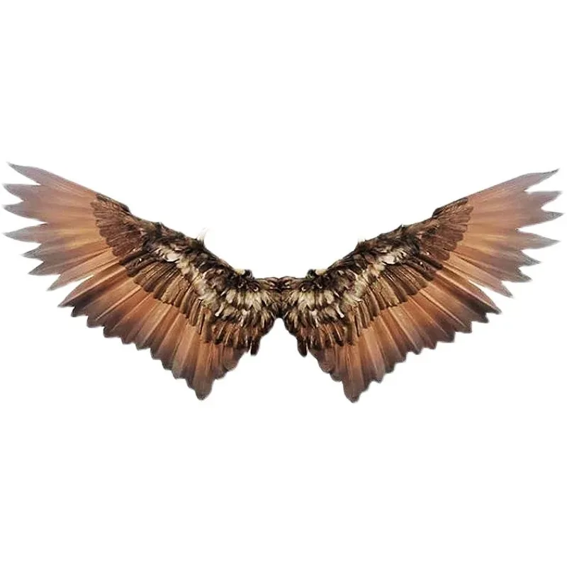 

【specialized】Electric Folding Wing Remote Control Telescopic Prop Feather Photo