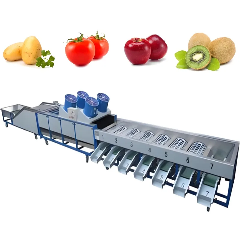 Obrázek 3: Malý rajče rajčata ananas borůvka tykev kokos ovoce dědičné zatížení grader grading třídění sorter stroj