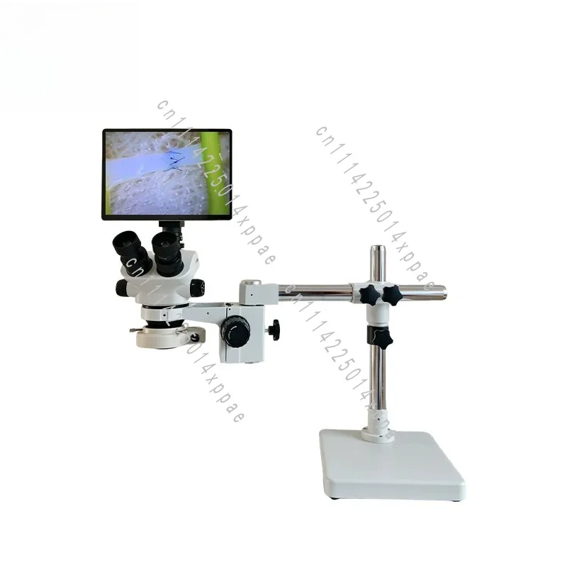 Practice Vascular Suturing Cataract Small Animal Microscopy