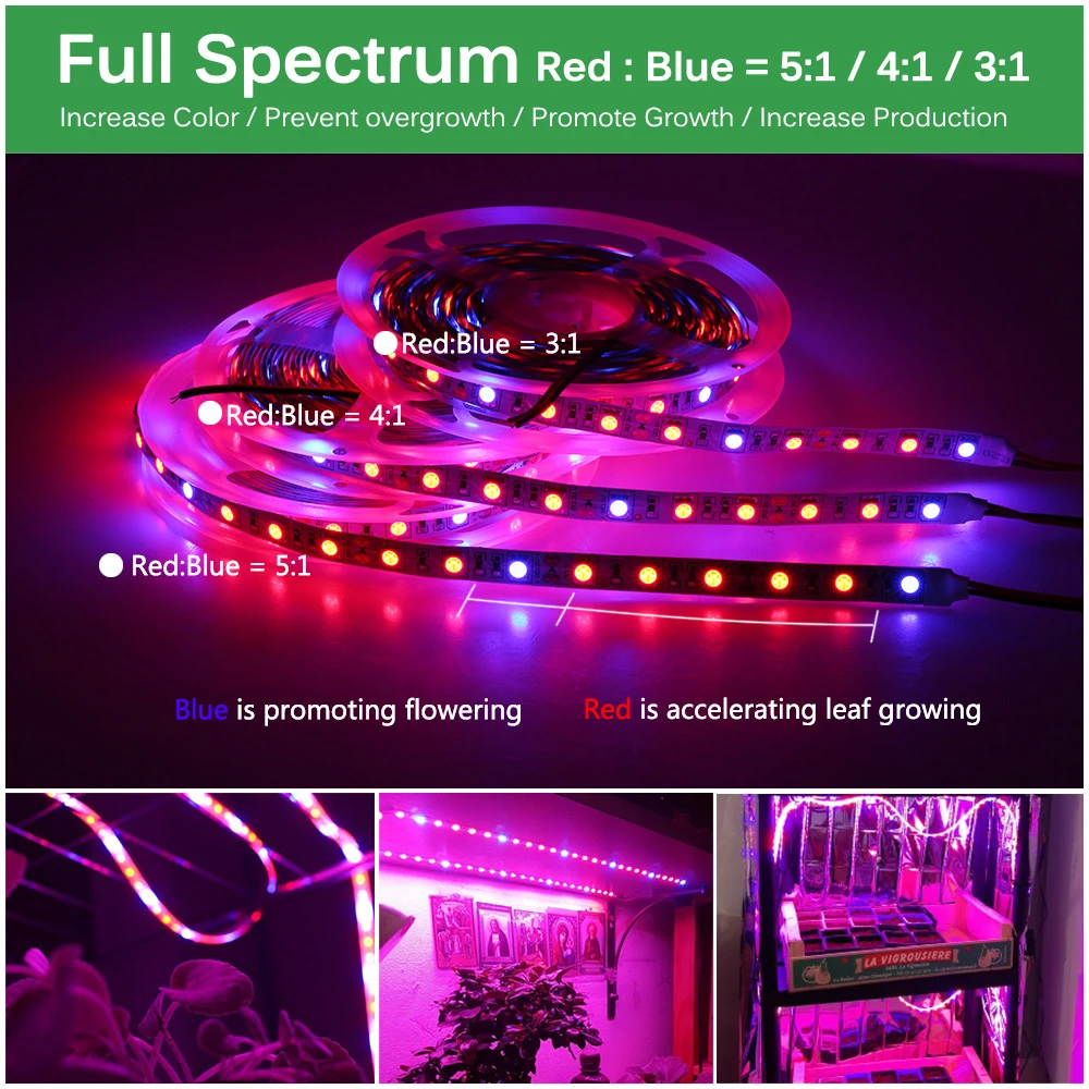 Plant Grow Lights 5M/Lot Waterproof Full Spectrum LED Strip Light 300LEDs 5050 Chip Flower Phyto Lamp for Greenhouse Hydroponic