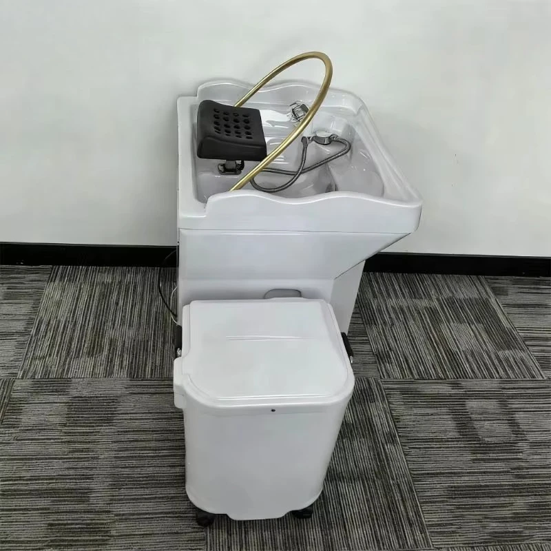 Salon Mobile Headspa Basin Portable Shampoo Bowl With Water Tank Massage Multifunctional Circulating Shampoo Sink