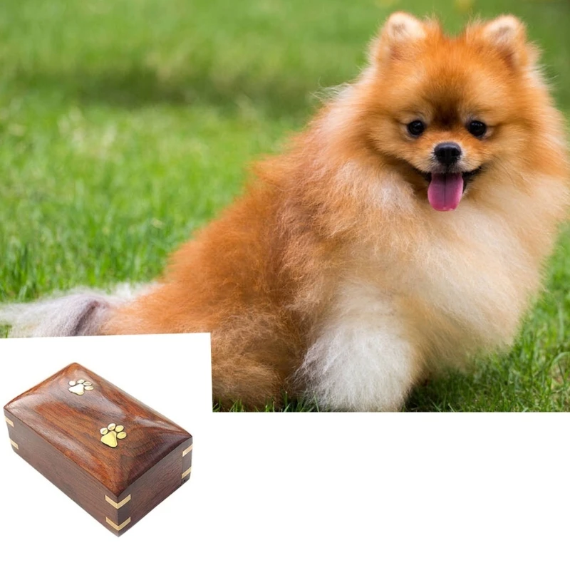 Pet Urn Pet Remembrances Box Memorial with Claws Print Funerary Caskets