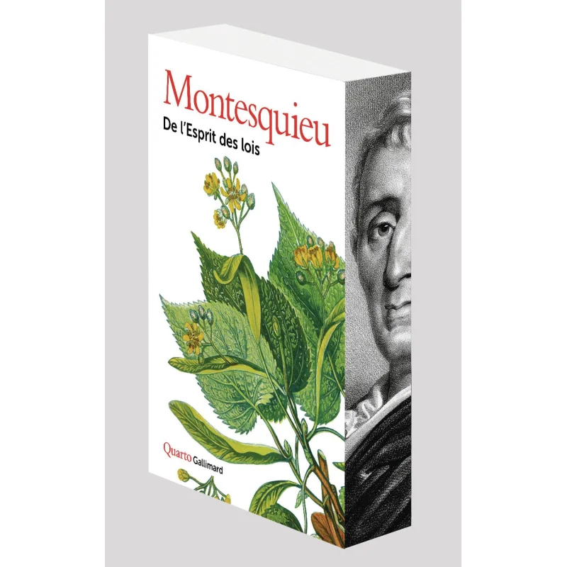 DE LESPRIT DES LOIS SOUS ETUI Montesquieu Gallimard 9782073101402 Książka