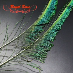 Royal Sissi 10pcs Pack Natural Peacock Sword Tail Feather Salmon&Pike&Sea Trout Wet Fly Lure Alexandra Flies Fly Tying Materials