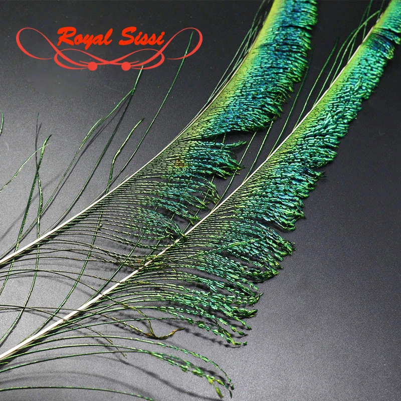 Royal Sissi 10pcs pack natural peacock sword tail feather salmon&pike&sea trout wet fly lure Alexandra flies fly tying materials