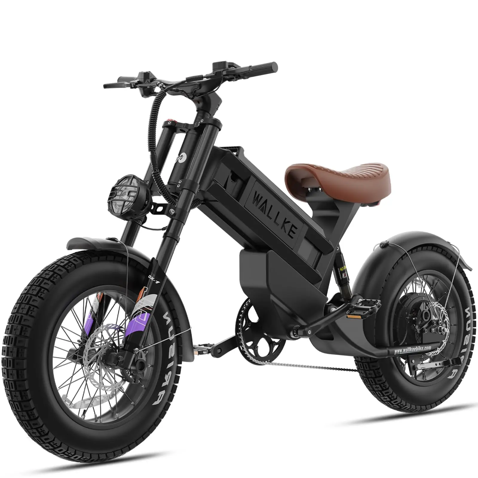 R60C 4000W Long Range Electric Bike for Adults, Fat Tire All Terrain Ebike with Full Suspension & Torque Sensor, Up to180