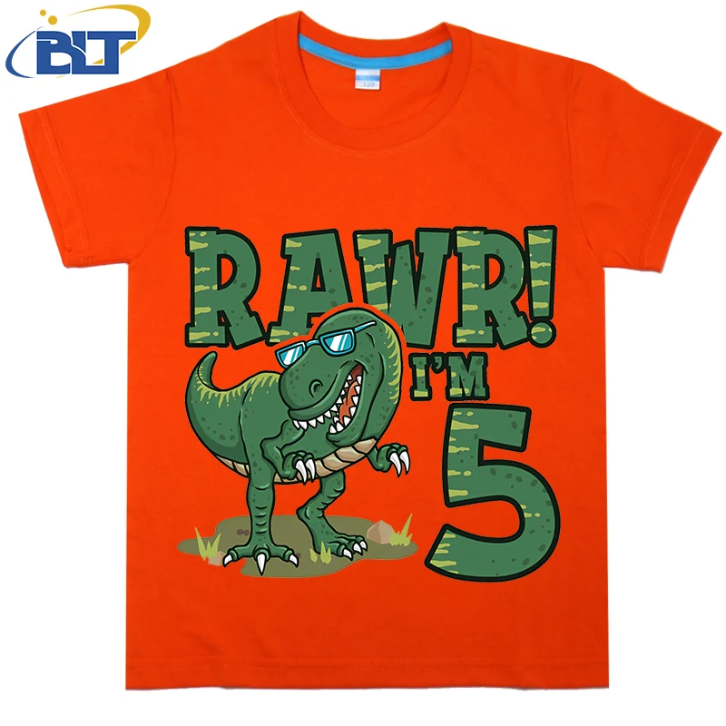 Dinosaur Birthday for 5 Year Old Boy Printed Kids T-shirt Summer Cotton Short Sleeve Casual Tops Suitable for Boys and Girls