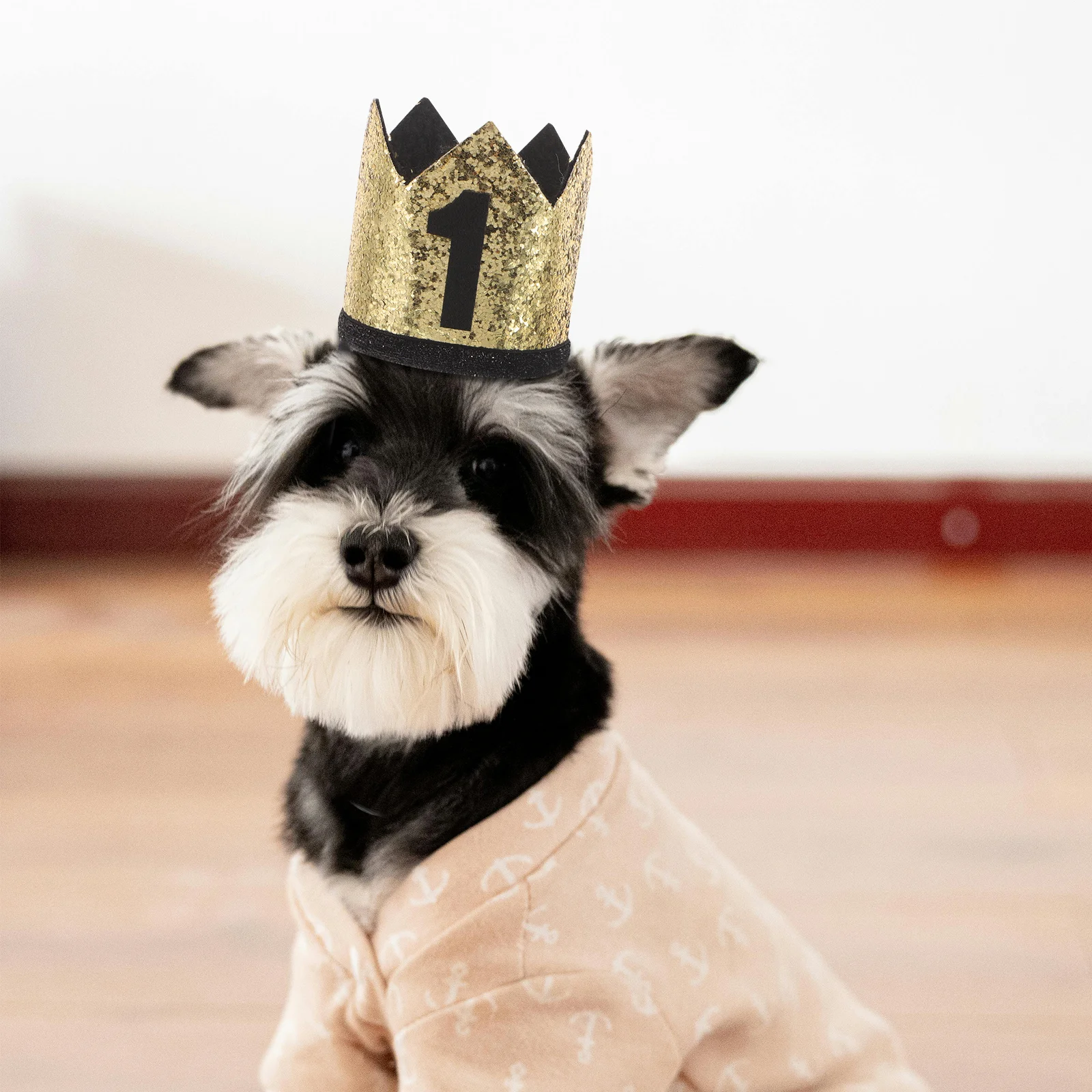 ペットの誕生日帽子 犬 猫 - 小さなペットの誕生日パーティーの装飾用のスタイリッシュなクラウンヘッドウェア 快適で制限のない犬のパーティー