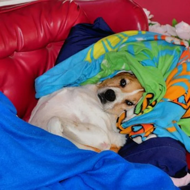 

119 мм 1,9-дюймовые резиновые шины для колес, шины для восхождения для 1/10 RC гусеничного автомобиля, осевой SCX10 90046 TRX4 Redcat Gen8