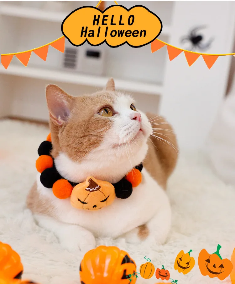 https://ae-pic-a1.aliexpress-media.com/kf/S094f61af3bd4425eb2ba84ac207303e43.jpg