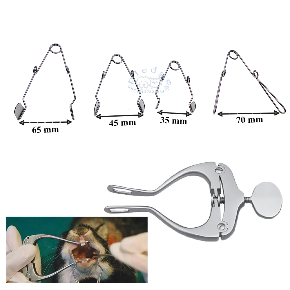 Labor-Experimentelles Veterinär-Mundsperrer für Nagetiere, Wangendilatator aus Edelstahl, Orales Spekulum für Ratten- und Kaninchenchirurgie-Instrumente – Detail 1
