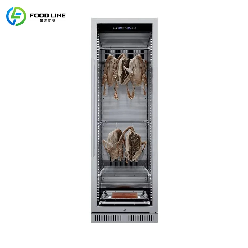 Customize Dry Age Fish Machine Chiller Cheese Duck Salami Sausage Beef Fish Dry Aging Refrigerator
