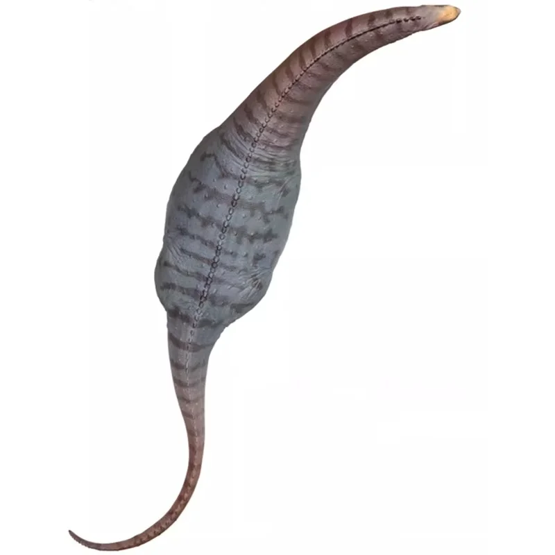 نموذج ديناصور ما قبل التاريخ 85 نموذج ديناصور Camarasaurus Niyol تمثال لعبة جمع الحلي هدايا العيد للأصدقاء