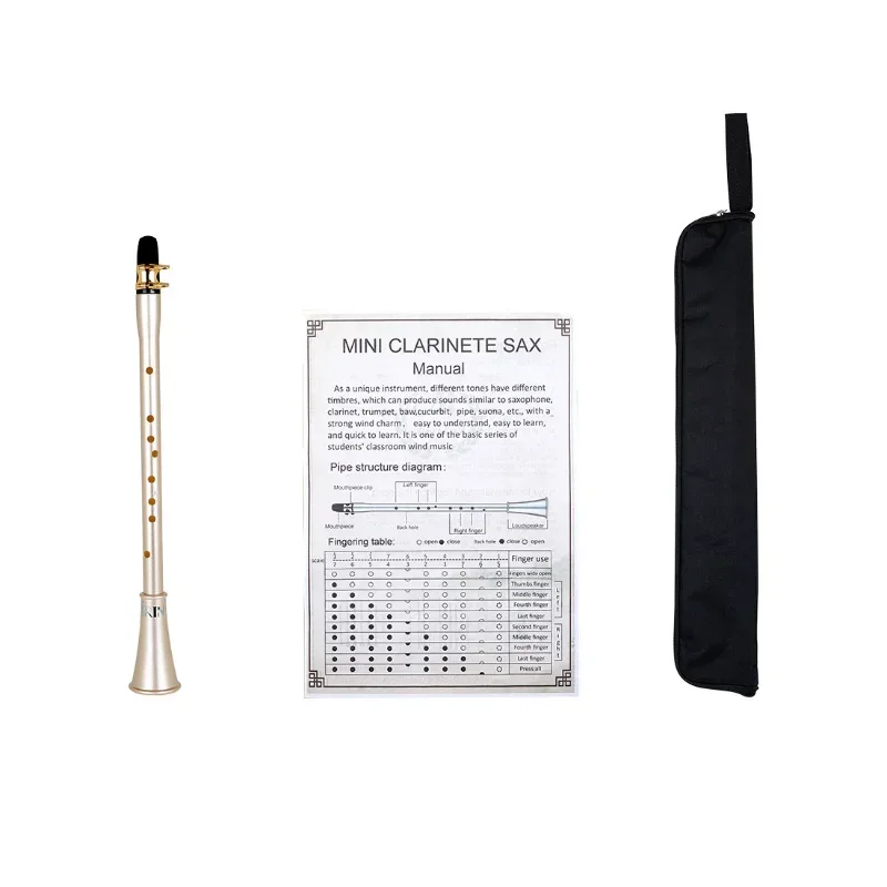 Pocket Saxophone, Portable Simple Mini Saxophone, Practice BB Tune Sax with Reed Bag Woodwind Instrument for Amateurs 24BD