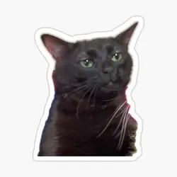 Zoned Out Cat Sticker Sticker for Laptop Decor Bedroom Car Cute Cartoon Art Fashionable Public Suitcase