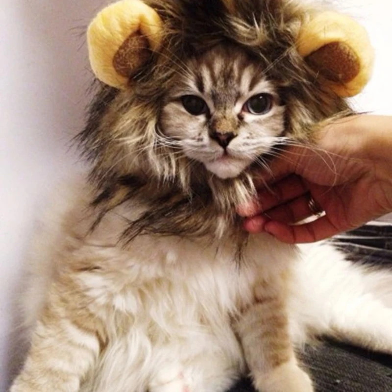 Funny and Cute Pet Costume Role-Playing Lion Little Ear Wig Hat Cat Halloween Costume Fancy Hat