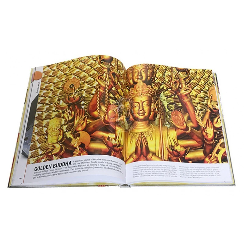 Original Children's Science Popularization Books, Periodic Table of Elements, DK Coloring English Encyclopedia, Picture Book