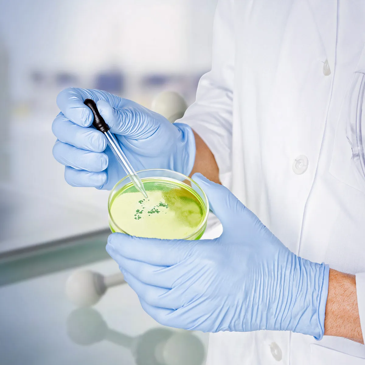 

10Pcs 70Mm Premium Sterile Plastic Petri Dish Lightweight Ergonomic Design with Lid for Bacterial Experiment