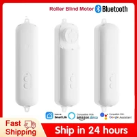 Persiana enrollable Tuya, motor automático recargable para cortinas, abridor de persianas, compatible con Alexa, Asistente de Google, control por voz Siri