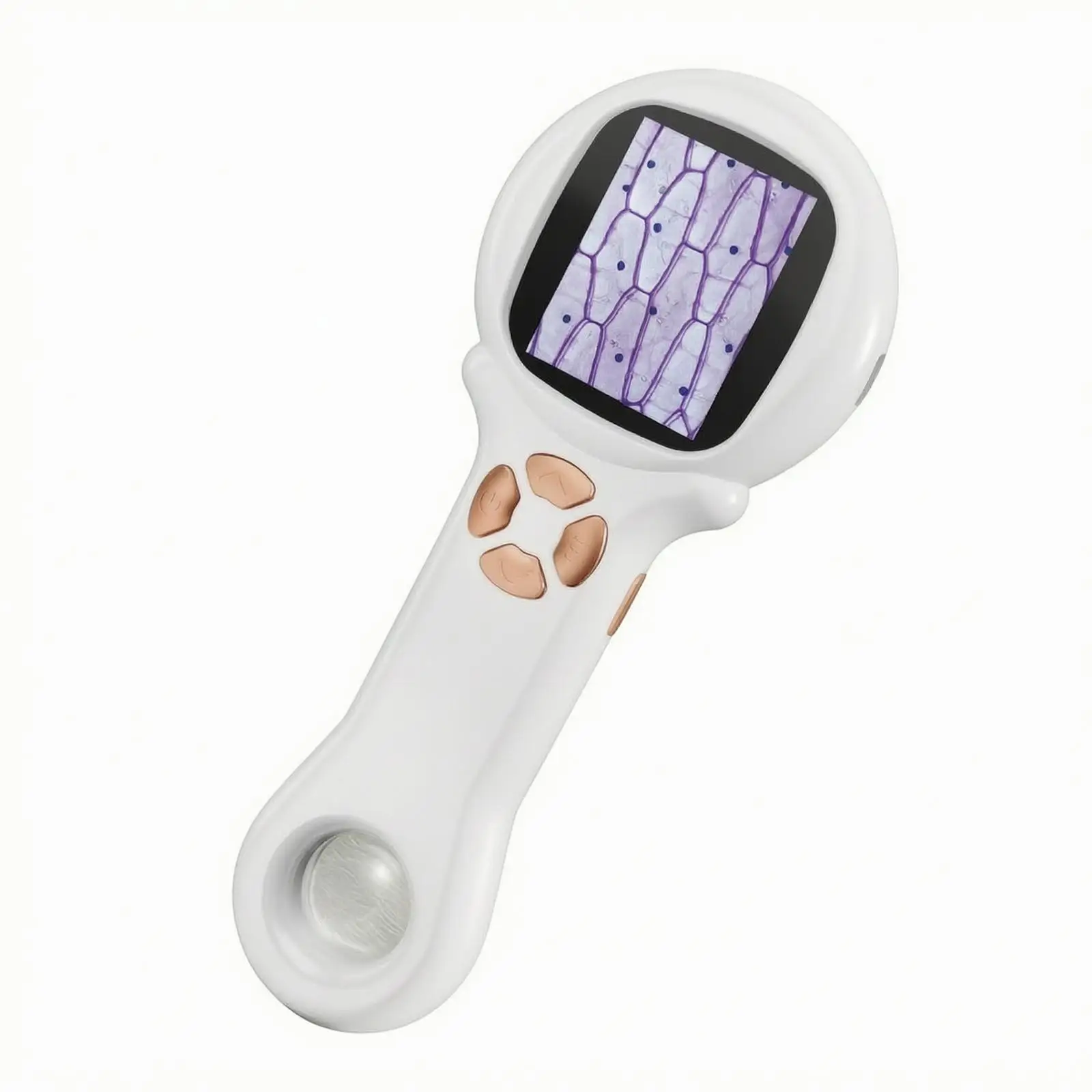 Digital Microscope for Kids Portable Handheld Magnifier 500X with Built-in LED Light for Plant Observation and Material Analysis