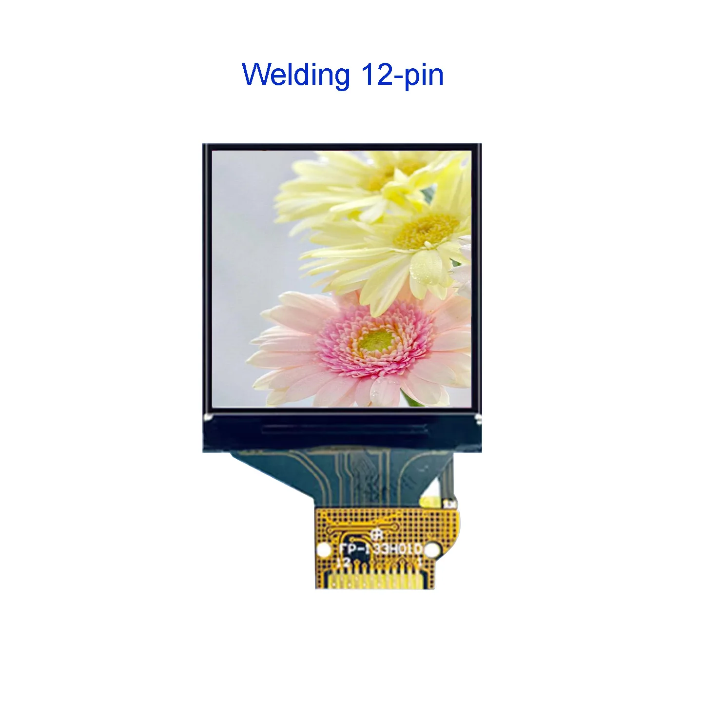 Módulo de pantalla Lcd TFT de 1,3 pulgadas, 1,33 pulgadas, 240x240, cristal IPS, interfaz SPI, control ST7789V, 12 pines, 24 pines