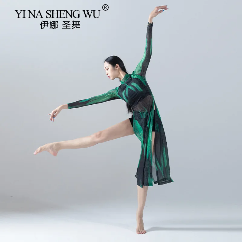 Classical Dance Cheongsam-style Long Skirt Classical Dance Female Professional Performance Mesh Long-sleeved Practice Clothes