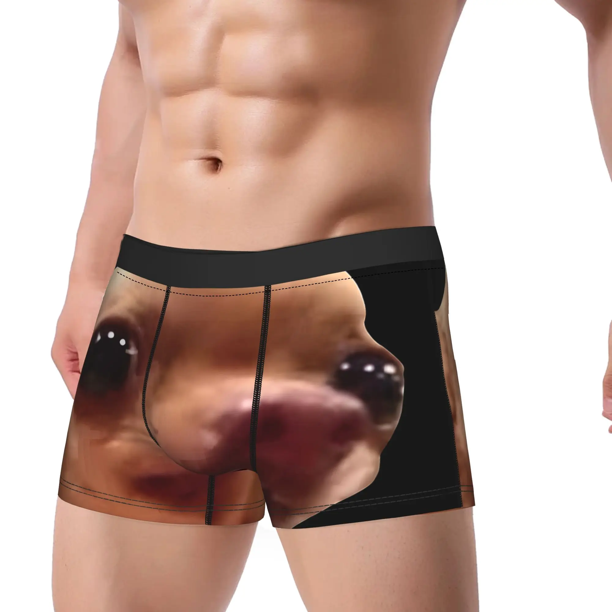 1piece  Cute Little Chihuahua Meme Underpants Breathbale Panties Male Underwear Comfortable Shorts