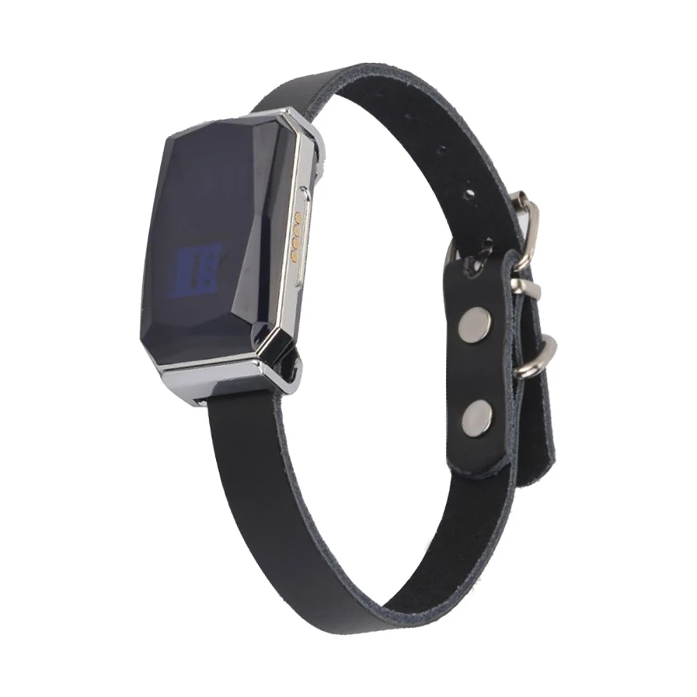 G12 GPS Smart Pet Locator Universal Waterproof GPS Location Collar For Cats And Dogs Positioning Tracker Locating