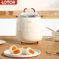 LOTOR Electric Egg Cooker Automatic Steamer Multifunction Steaming Rice Egg Custard Cooking Porridge For Kitchen